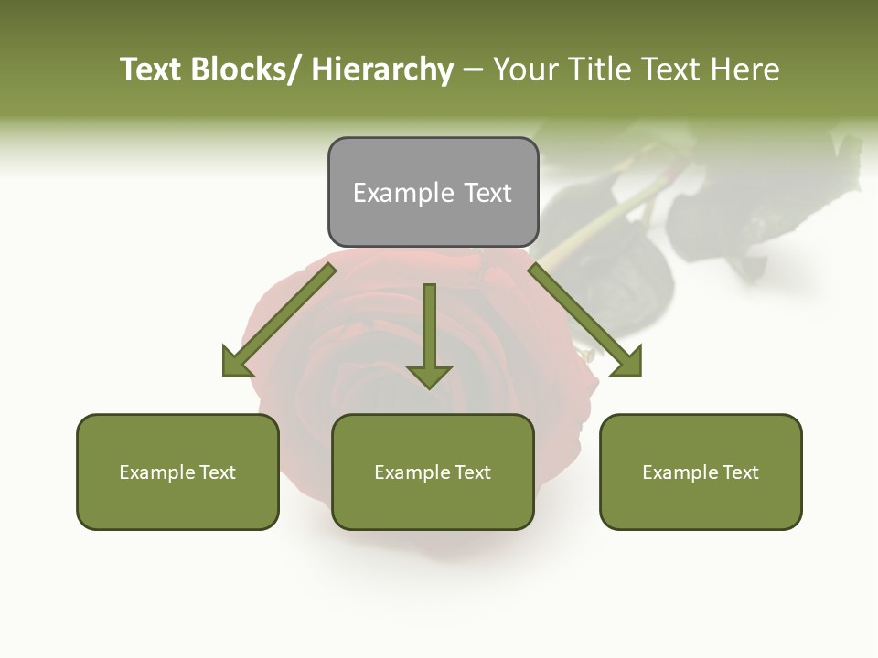 A Single Red Rose On A White Background PowerPoint Template