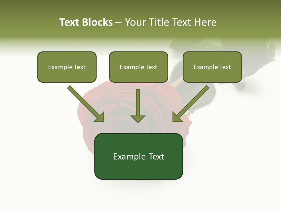 A Single Red Rose On A White Background PowerPoint Template