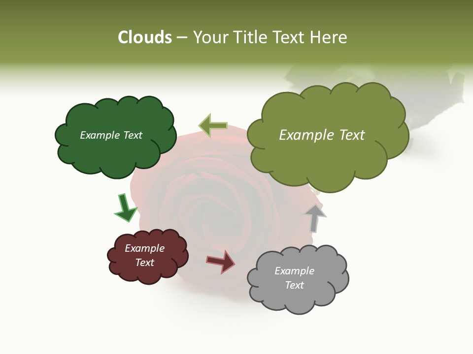 A Single Red Rose On A White Background PowerPoint Template