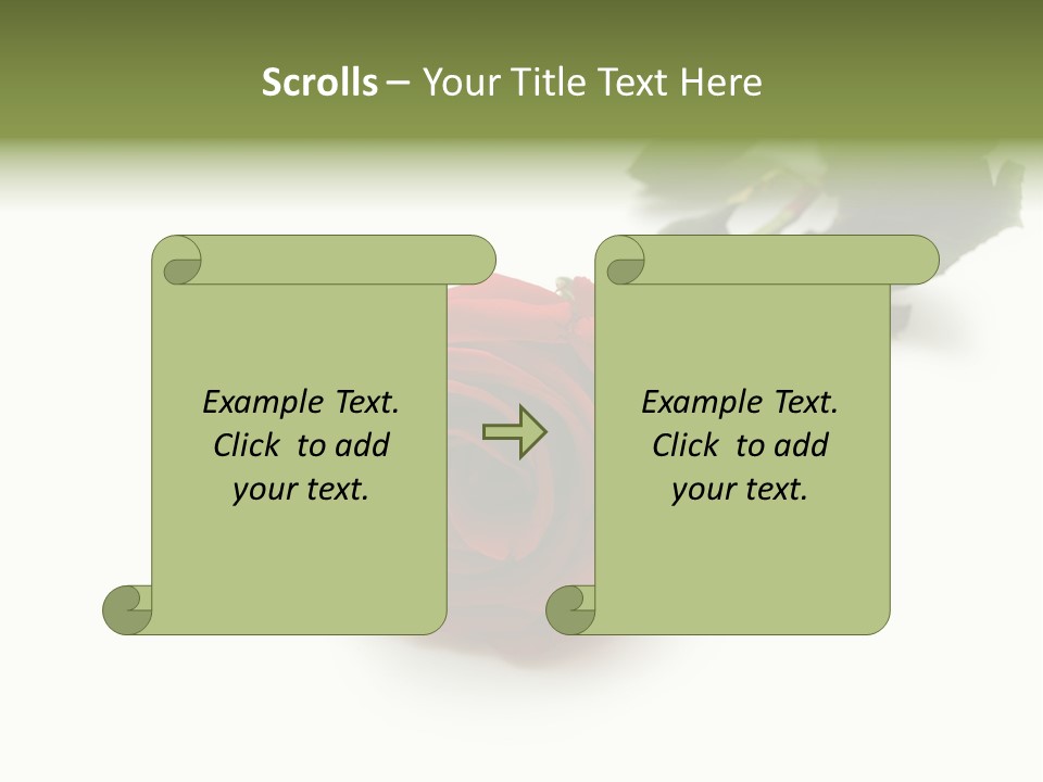 A Single Red Rose On A White Background PowerPoint Template