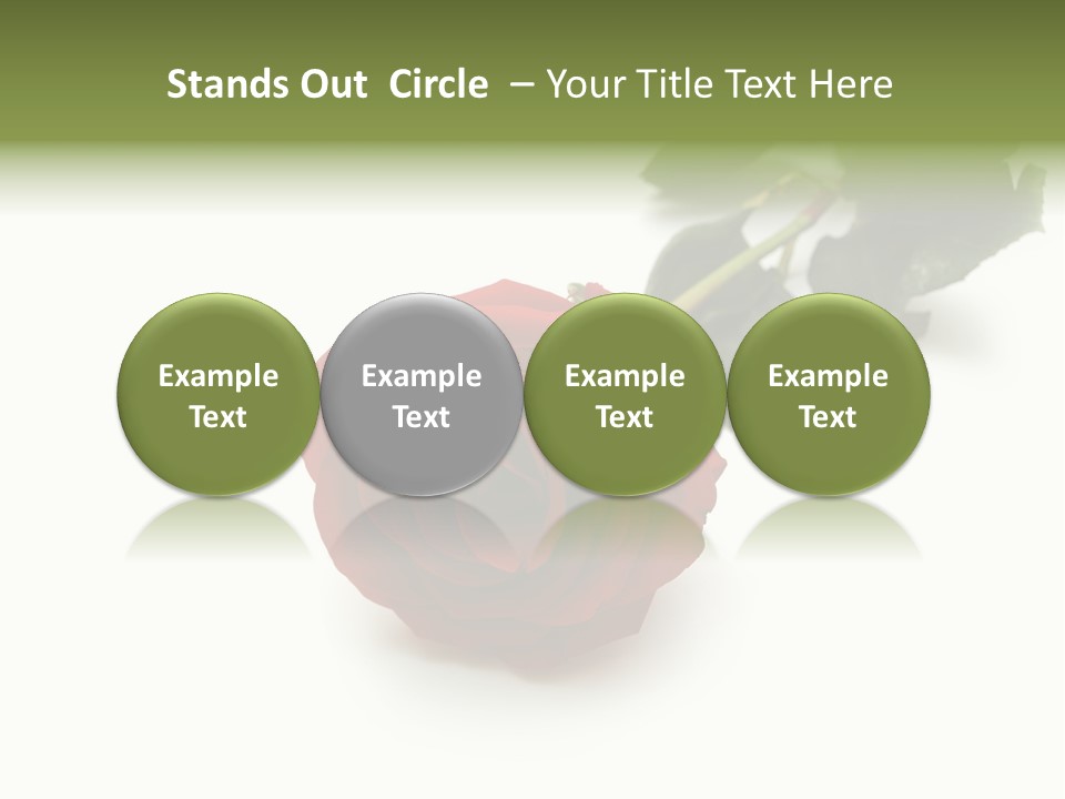 A Single Red Rose On A White Background PowerPoint Template