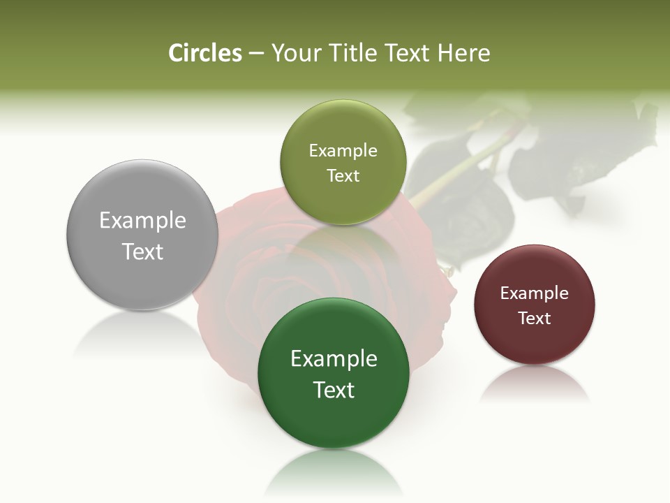 A Single Red Rose On A White Background PowerPoint Template