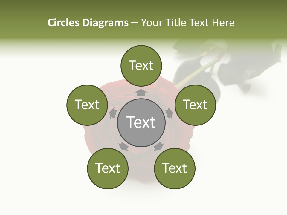 A Single Red Rose On A White Background PowerPoint Template