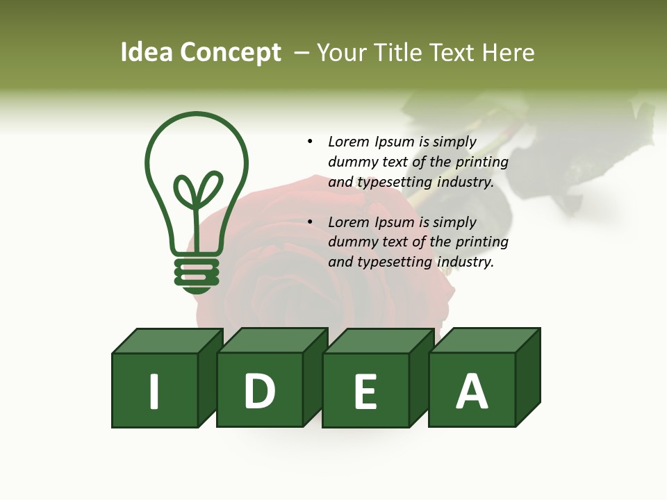 A Single Red Rose On A White Background PowerPoint Template