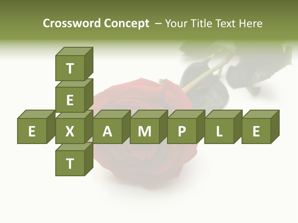 A Single Red Rose On A White Background PowerPoint Template