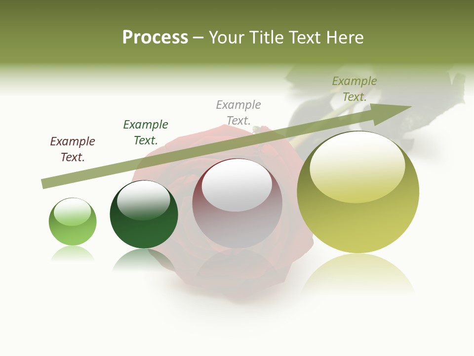 A Single Red Rose On A White Background PowerPoint Template