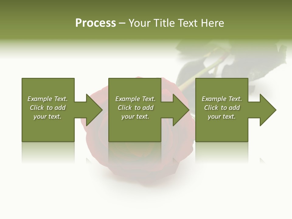 A Single Red Rose On A White Background PowerPoint Template