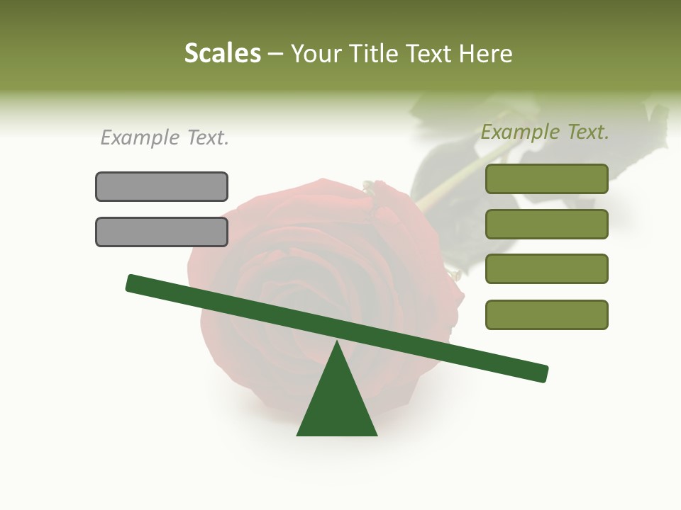 A Single Red Rose On A White Background PowerPoint Template