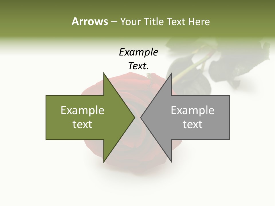 A Single Red Rose On A White Background PowerPoint Template