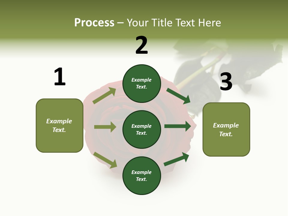 A Single Red Rose On A White Background PowerPoint Template