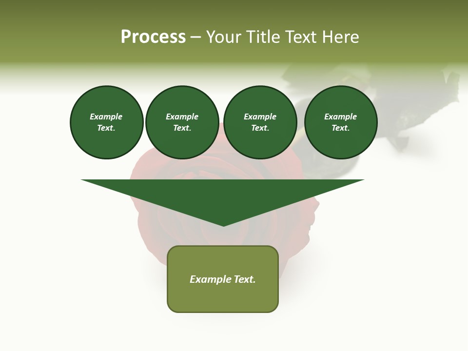 A Single Red Rose On A White Background PowerPoint Template