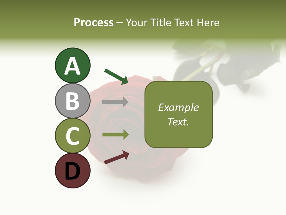 A Single Red Rose On A White Background PowerPoint Template