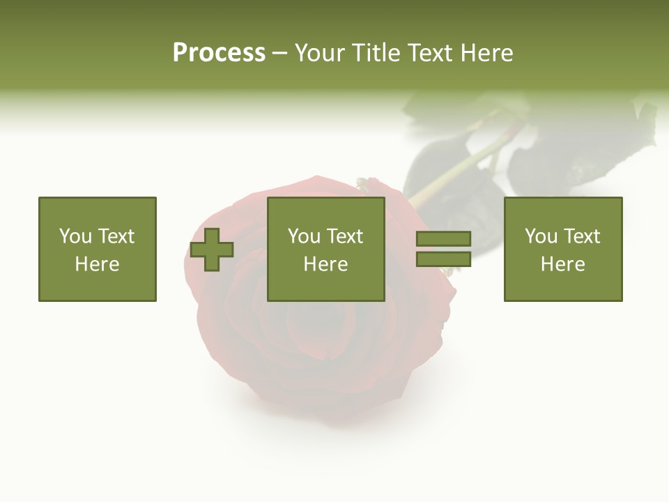 A Single Red Rose On A White Background PowerPoint Template