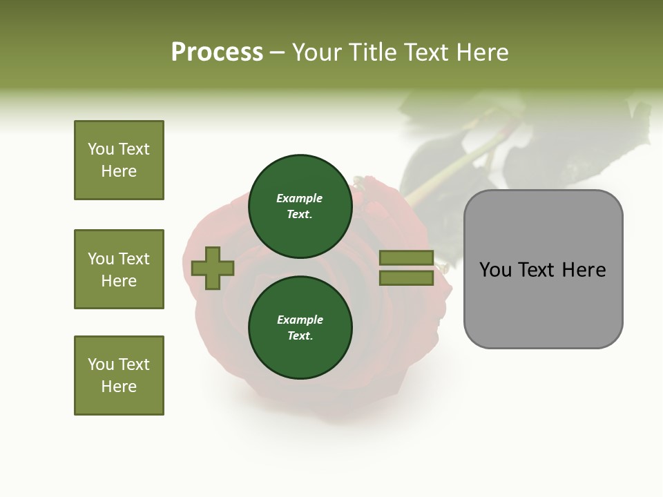 A Single Red Rose On A White Background PowerPoint Template