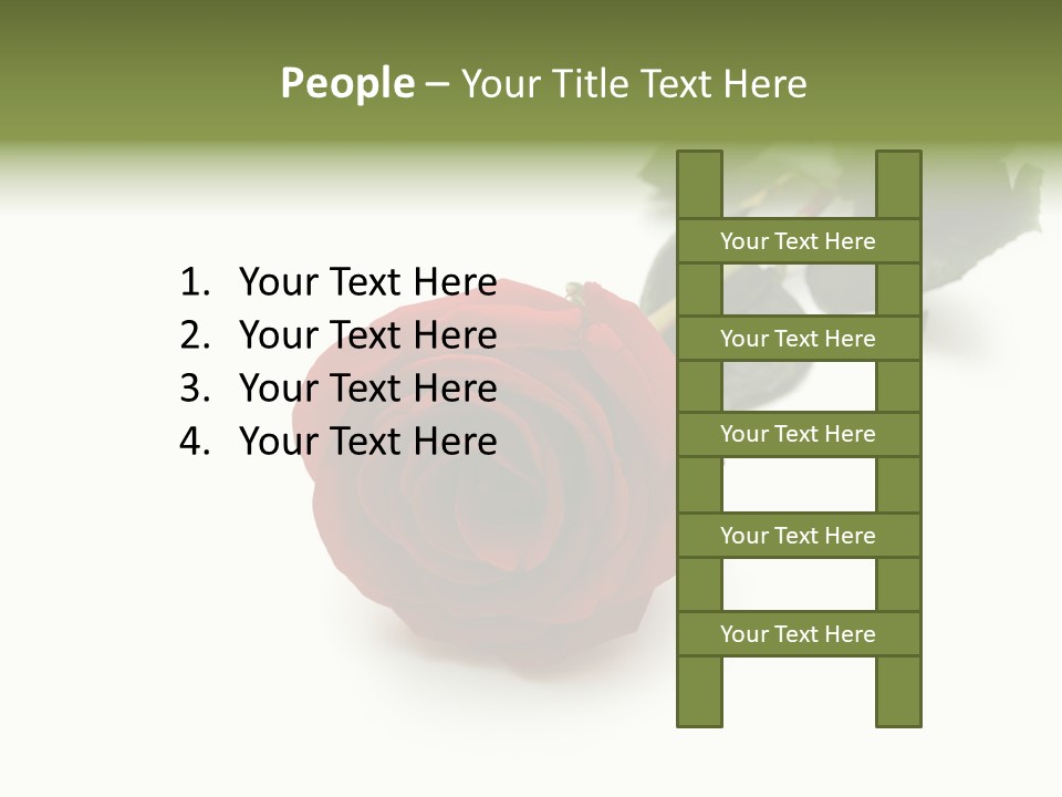 A Single Red Rose On A White Background PowerPoint Template