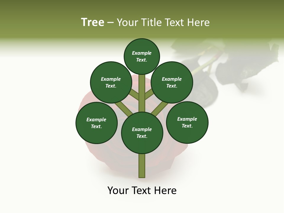 A Single Red Rose On A White Background PowerPoint Template