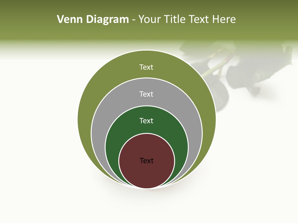 A Single Red Rose On A White Background PowerPoint Template