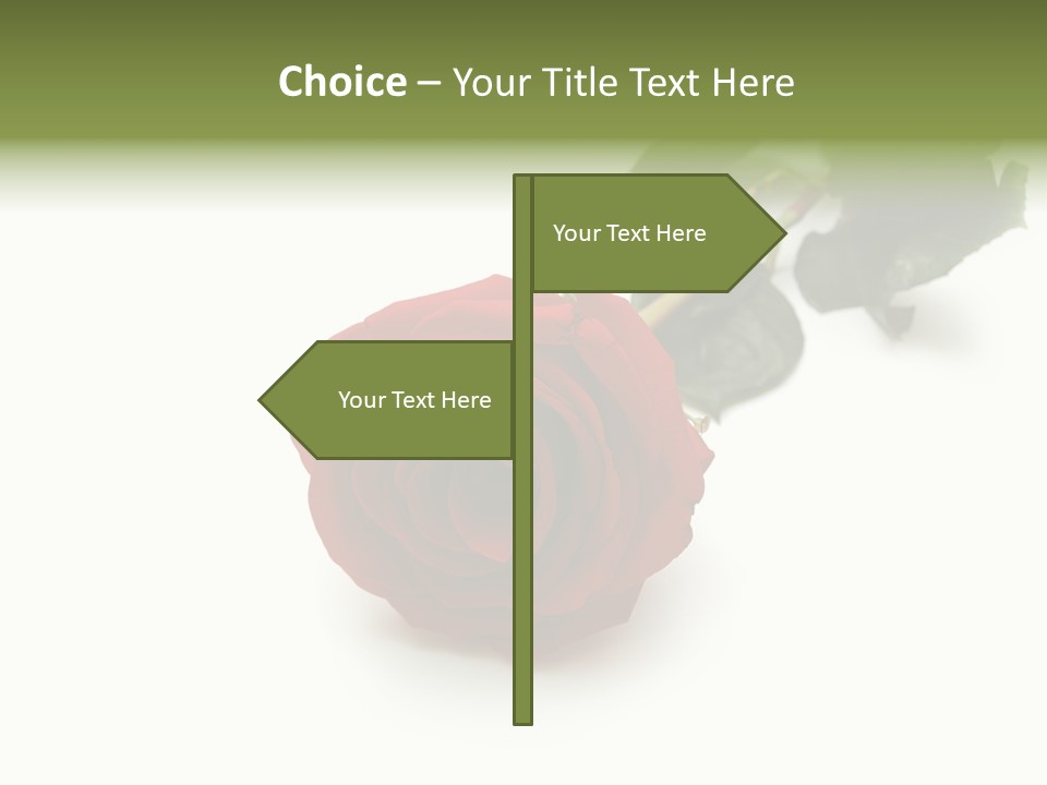 A Single Red Rose On A White Background PowerPoint Template