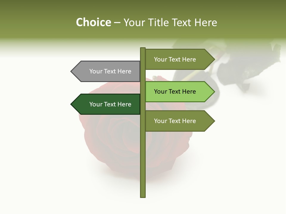 A Single Red Rose On A White Background PowerPoint Template