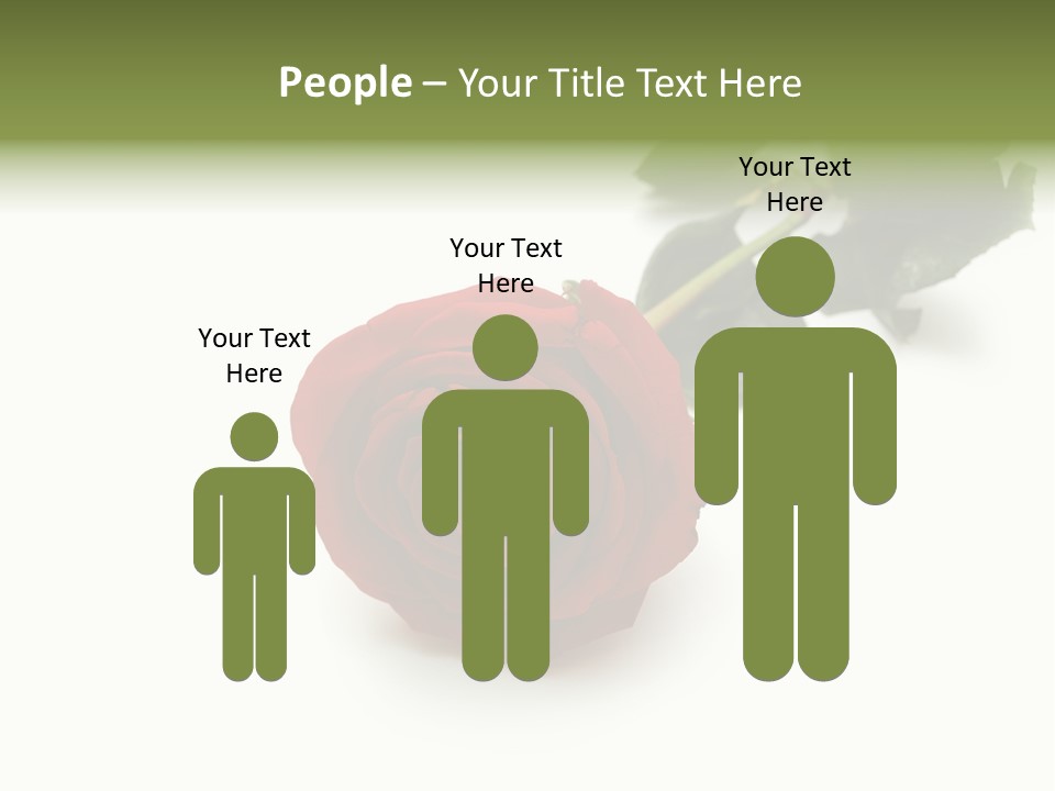 A Single Red Rose On A White Background PowerPoint Template