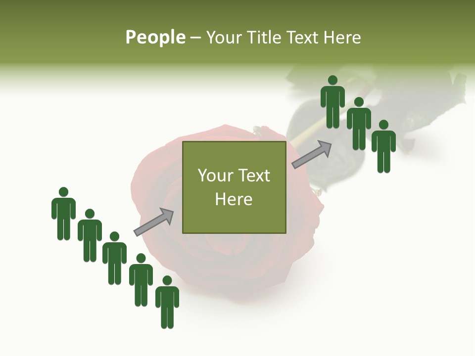 A Single Red Rose On A White Background PowerPoint Template