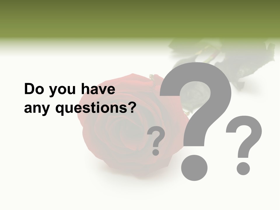 A Single Red Rose On A White Background PowerPoint Template