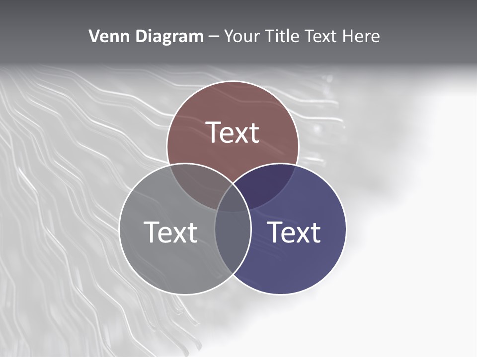 Studio Close Up Shot Of A Detail Of A Wire Rotating Brush. PowerPoint Template