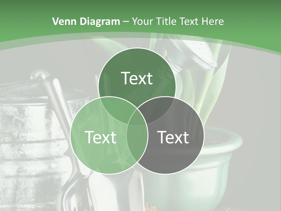 Gardening Tools With Flowering Bulbs In A Pot PowerPoint Template