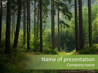 Forest PowerPoint Template