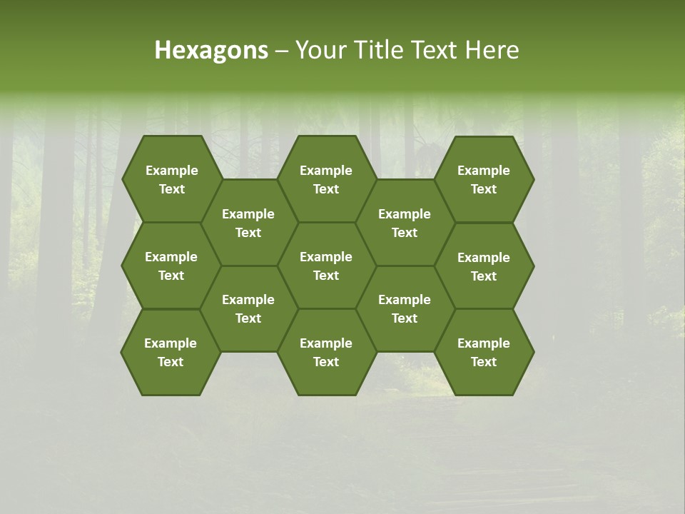 Forest PowerPoint Template