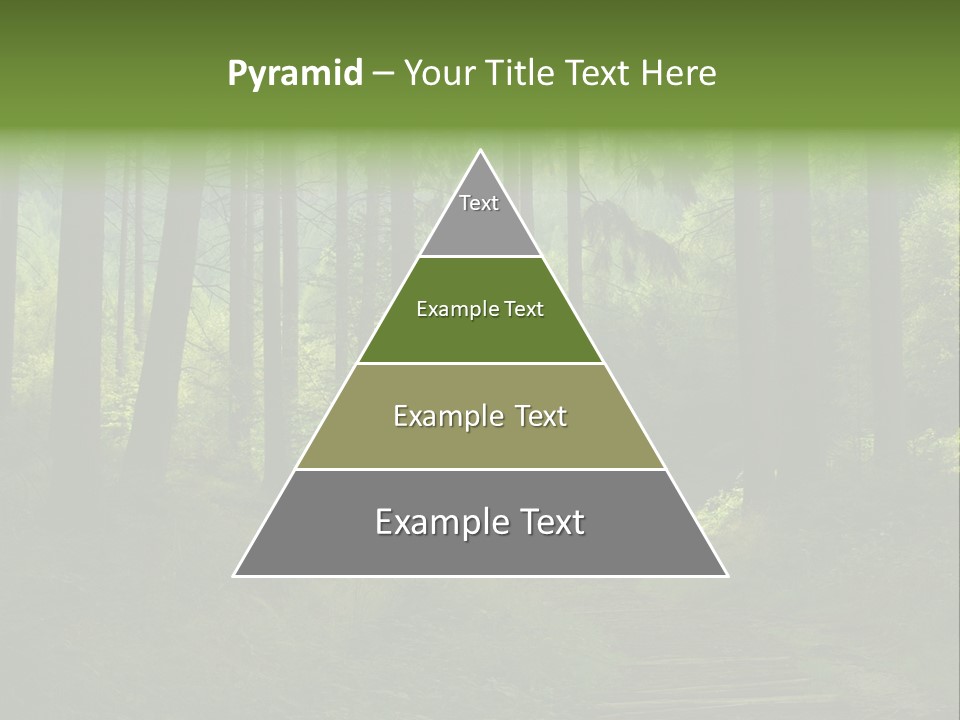 Forest PowerPoint Template