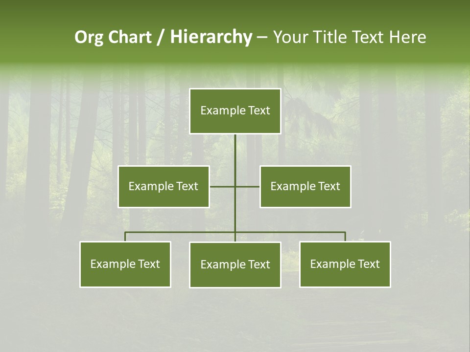 Forest PowerPoint Template