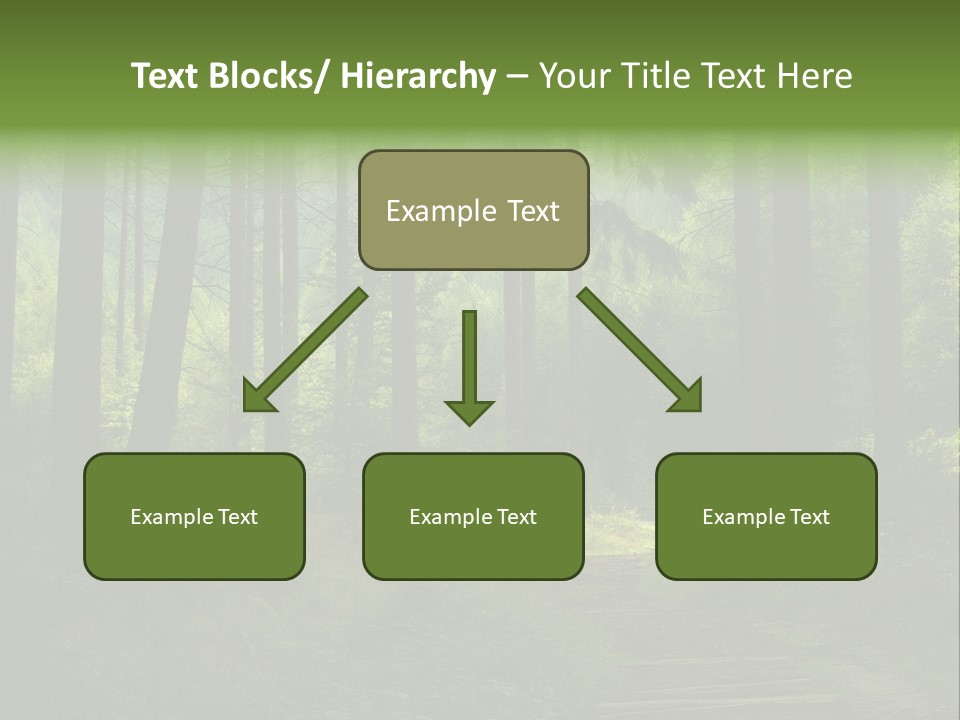 Forest PowerPoint Template