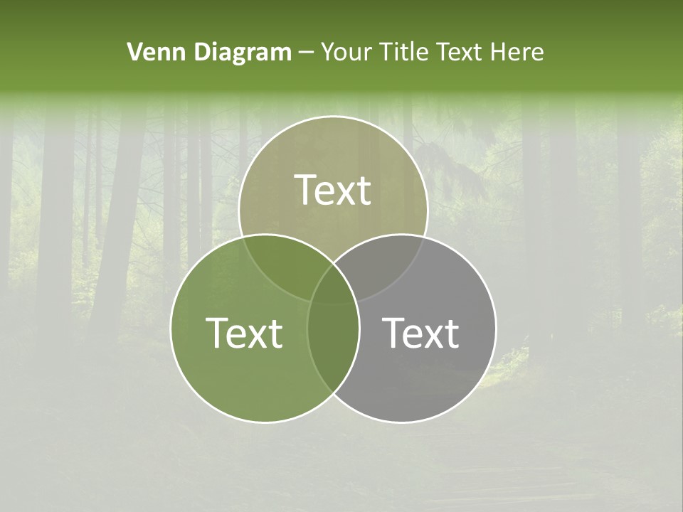 Forest PowerPoint Template