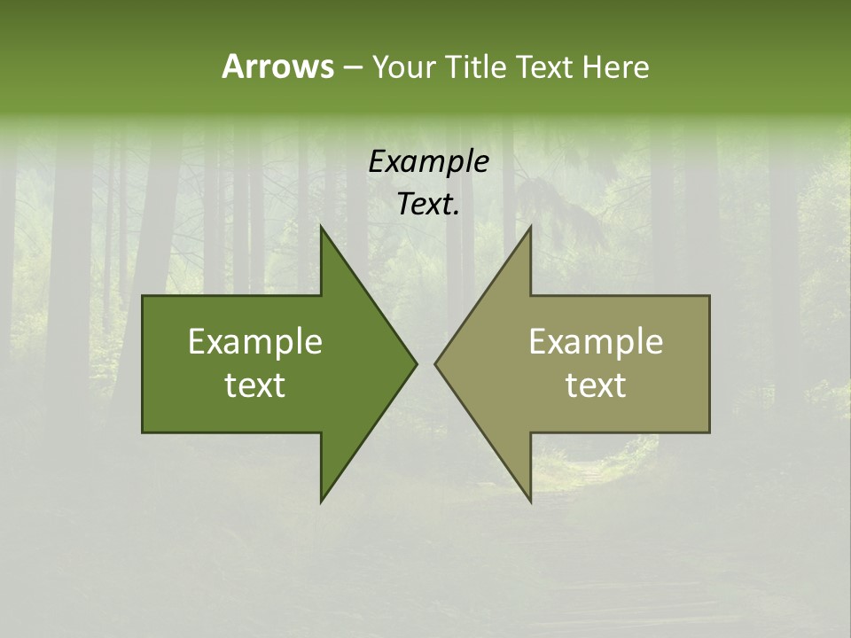 Forest PowerPoint Template