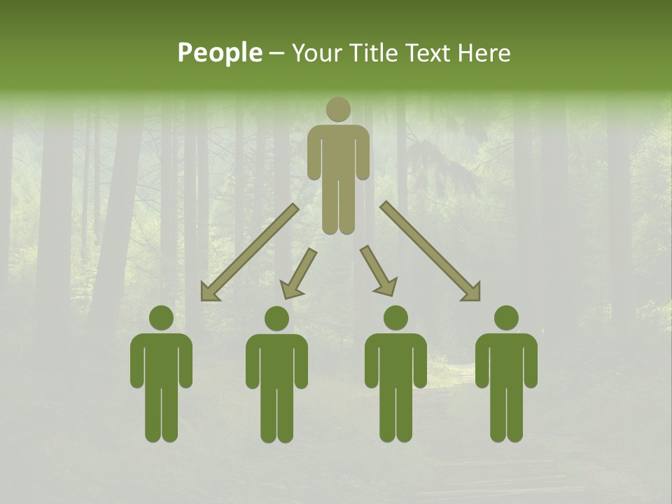Forest PowerPoint Template