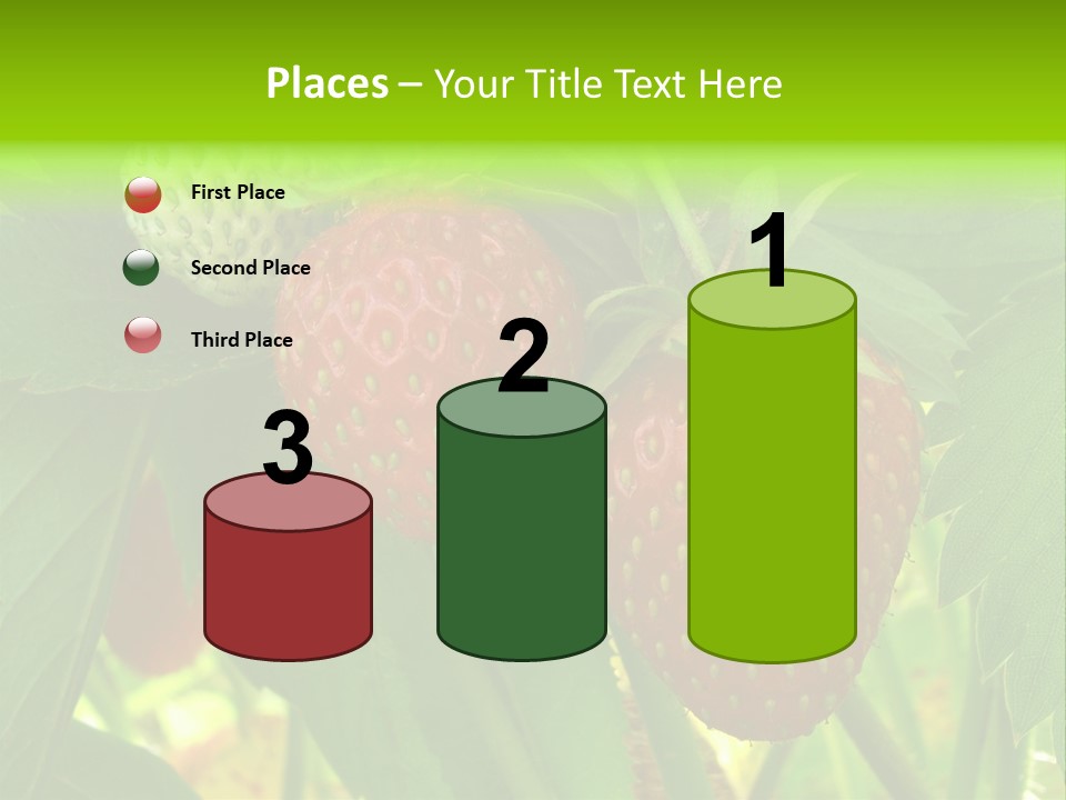 Ripening Strawberry Fruits On The Branch PowerPoint Template