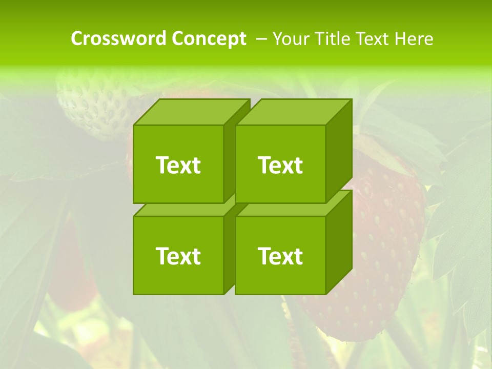 Ripening Strawberry Fruits On The Branch PowerPoint Template