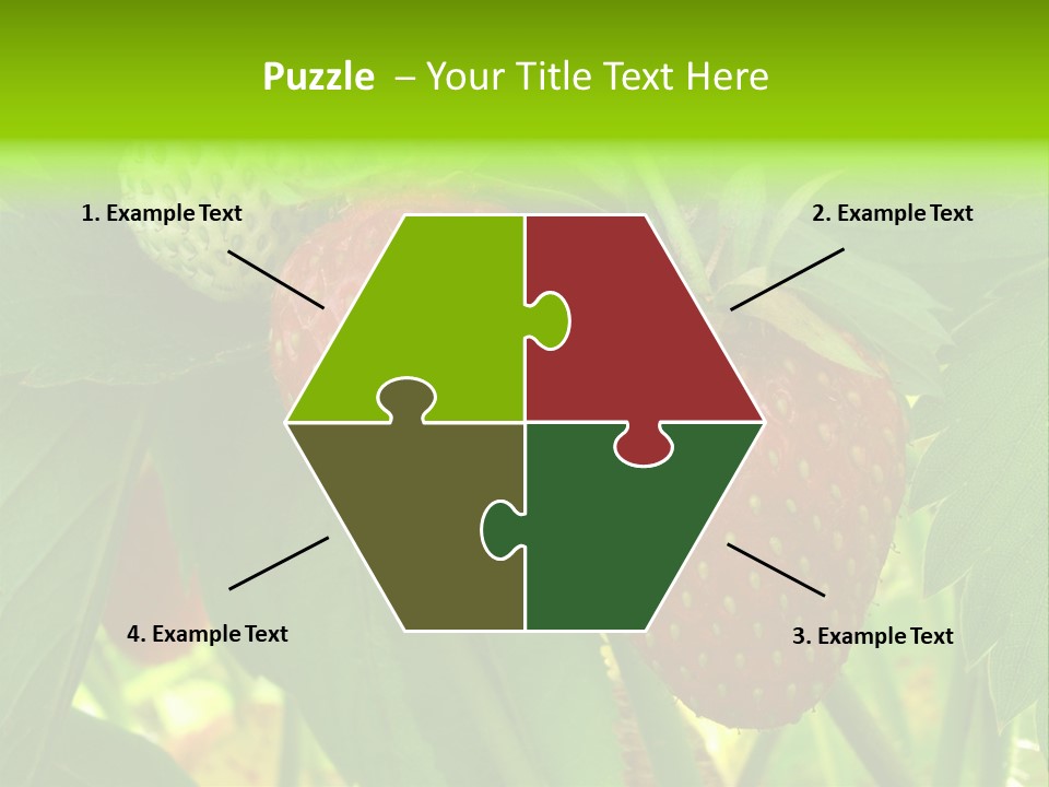 Ripening Strawberry Fruits On The Branch PowerPoint Template