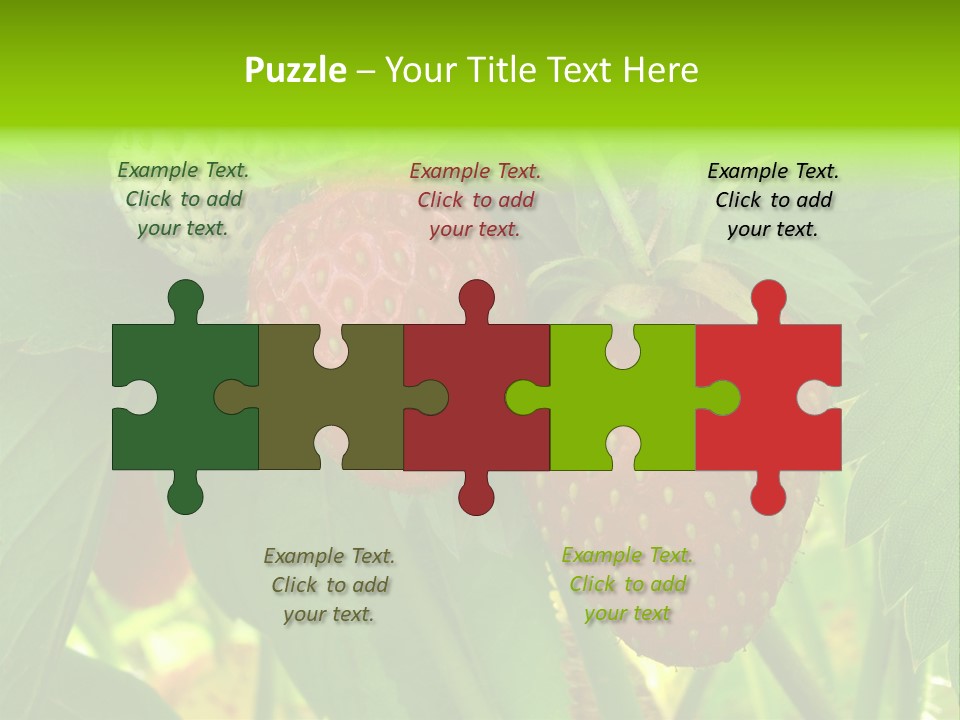 Ripening Strawberry Fruits On The Branch PowerPoint Template