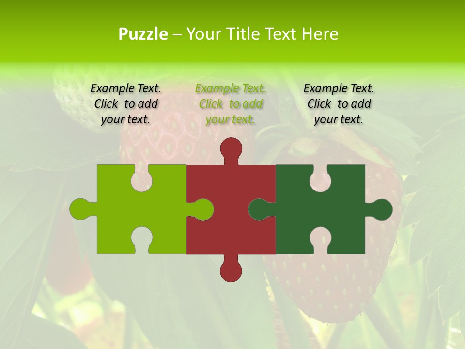 Ripening Strawberry Fruits On The Branch PowerPoint Template