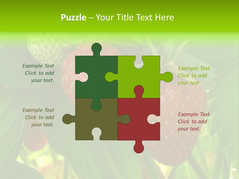 Ripening Strawberry Fruits On The Branch PowerPoint Template