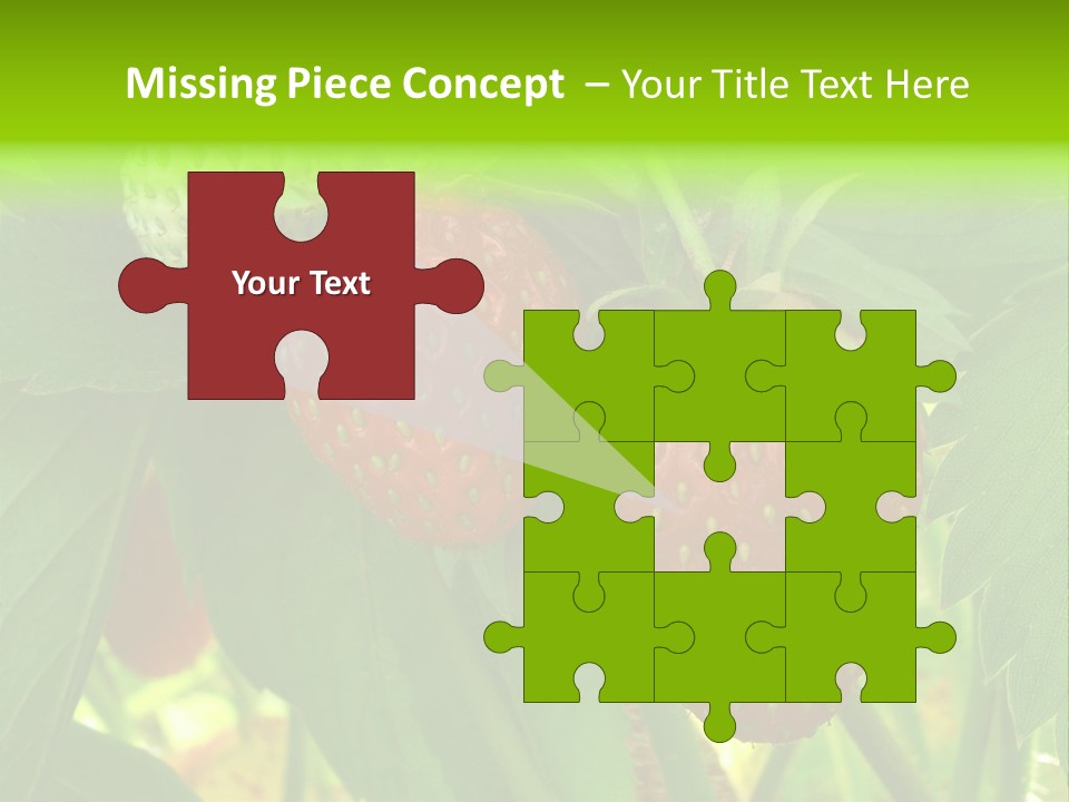 Ripening Strawberry Fruits On The Branch PowerPoint Template