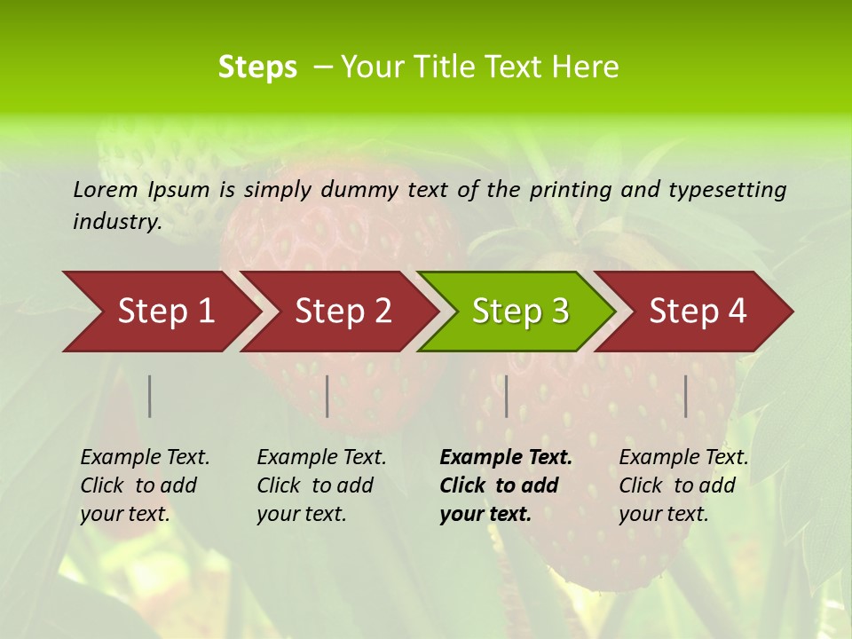 Ripening Strawberry Fruits On The Branch PowerPoint Template
