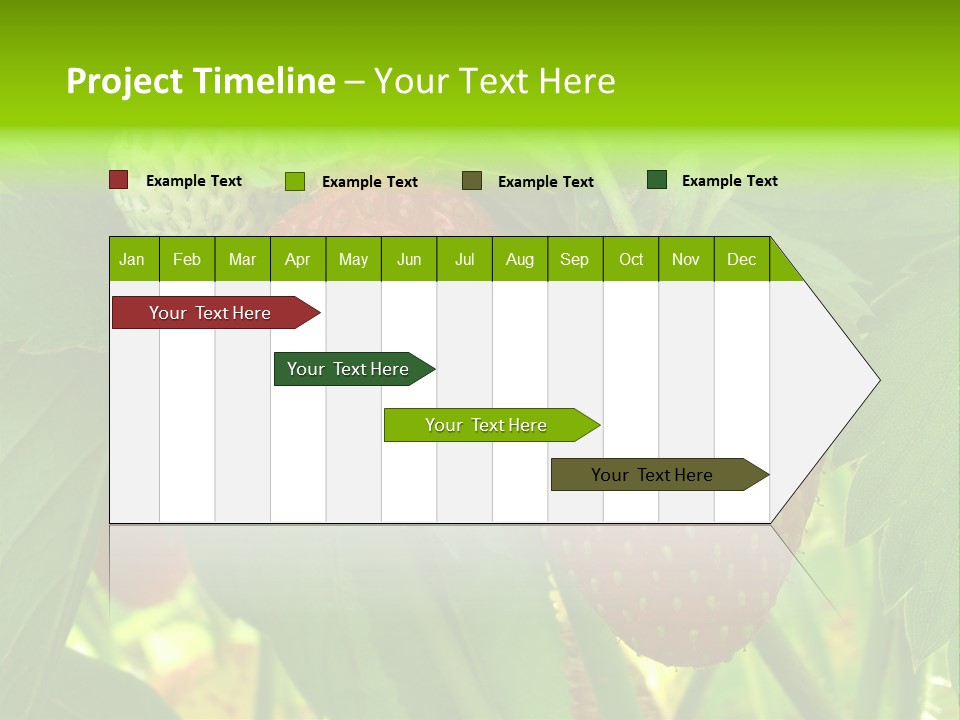 Ripening Strawberry Fruits On The Branch PowerPoint Template