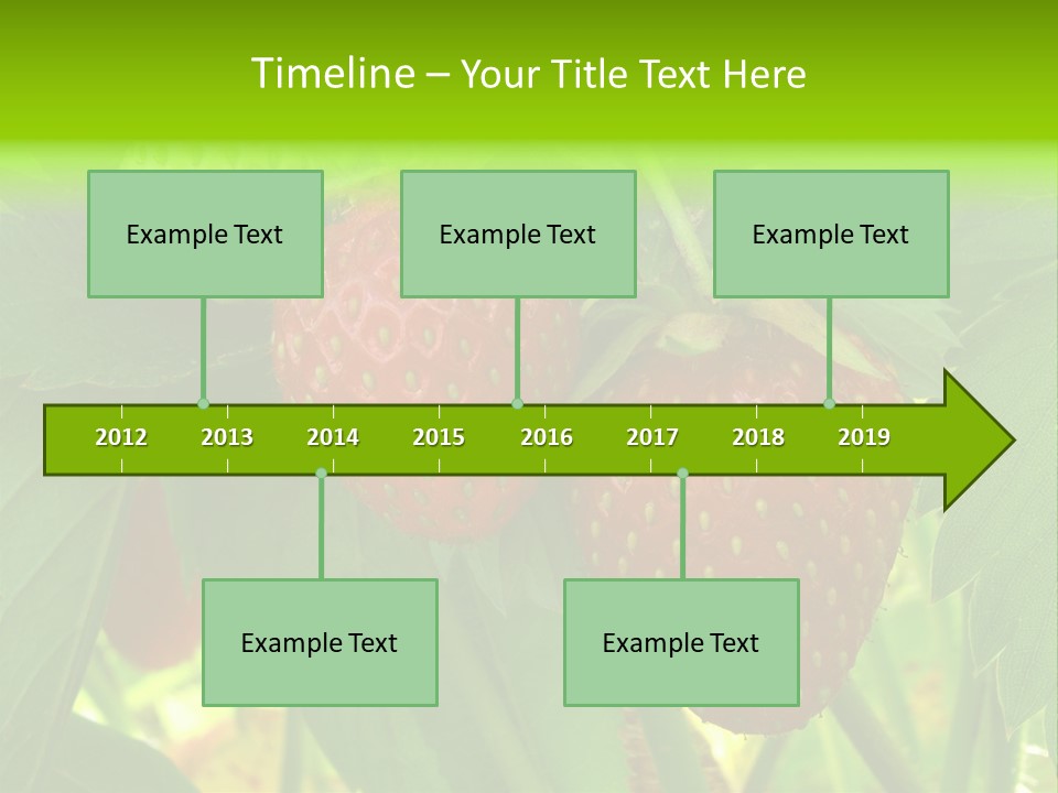 Ripening Strawberry Fruits On The Branch PowerPoint Template