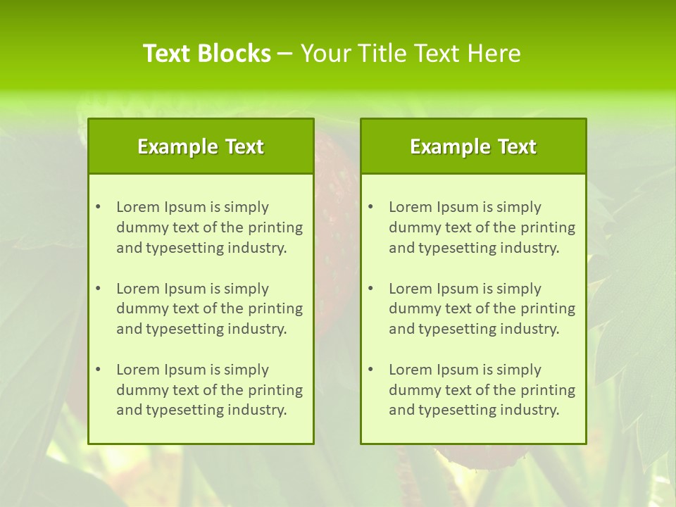 Ripening Strawberry Fruits On The Branch PowerPoint Template
