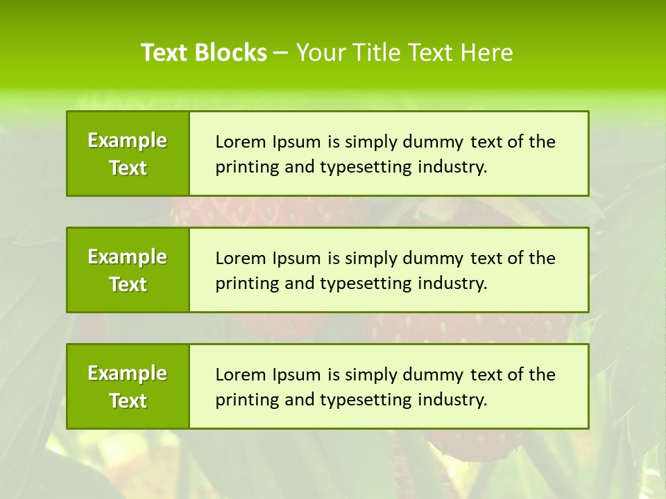 Ripening Strawberry Fruits On The Branch PowerPoint Template