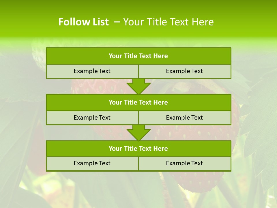 Ripening Strawberry Fruits On The Branch PowerPoint Template