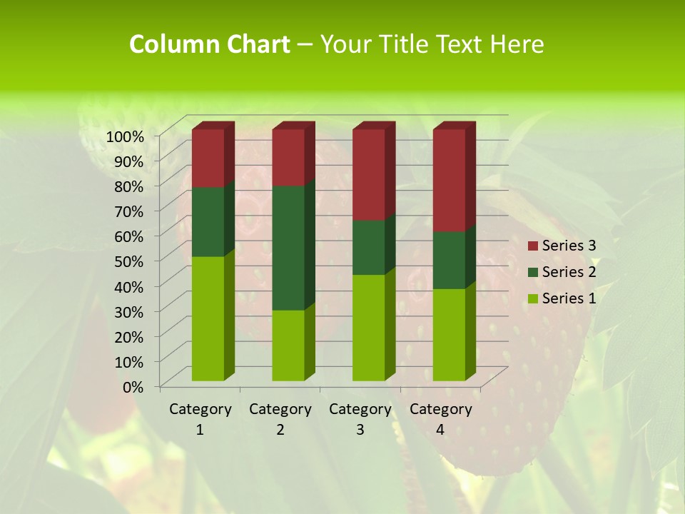 Ripening Strawberry Fruits On The Branch PowerPoint Template
